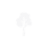 Natural Talent ability icon