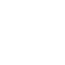 Bruiser ability icon
