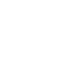 Brick Wall ability image