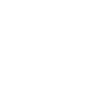 Secure Protector ability icon