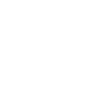 Gunslinger ability icon