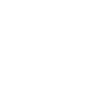 Secure Tackler ability icon