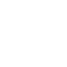 Screen Protector ability icon