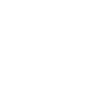 Run Protector ability icon