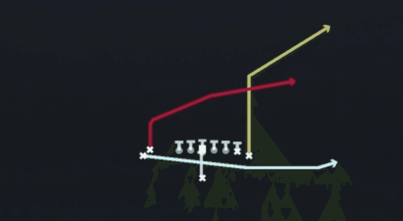 Play diagram for PA Jet Sweep from Singleback Wing Flex Close in Madden 27